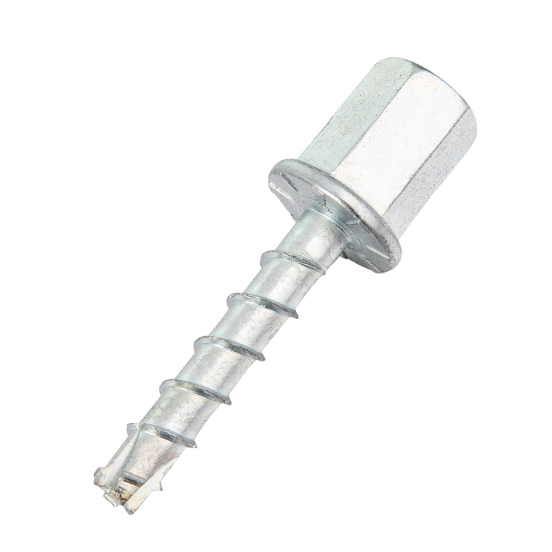 Internal Threaded Head Screw Bolt